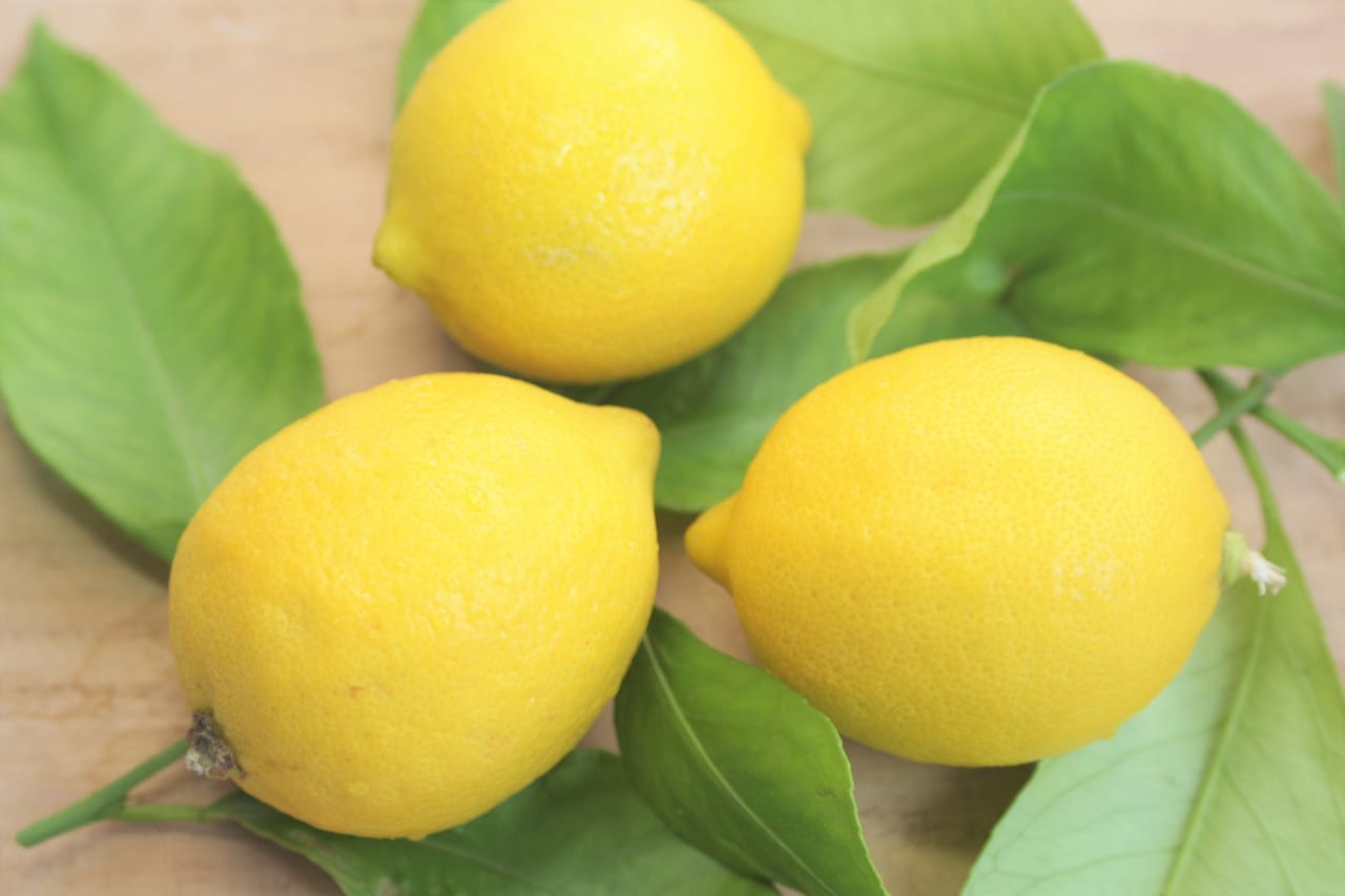 レモンとレモンの葉